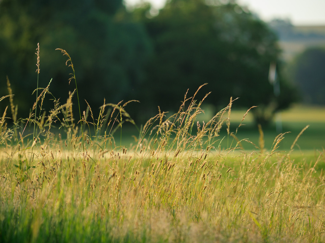 Feldon Valley - Golf Club-Lower Brailes必去景点