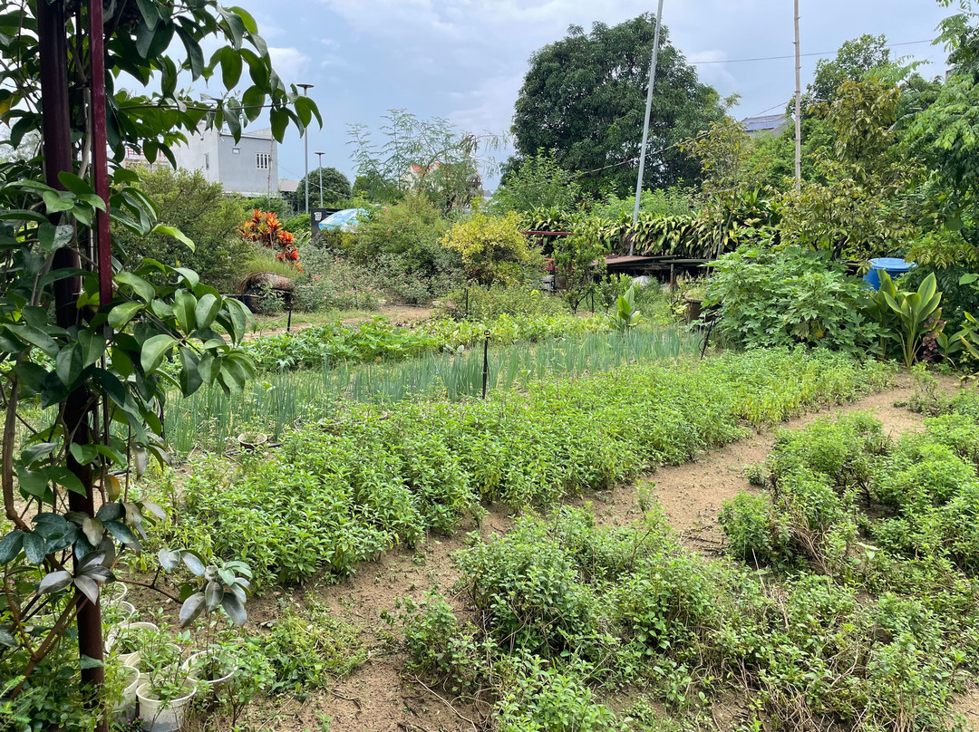 An Farm Hoi An-会安必去景点