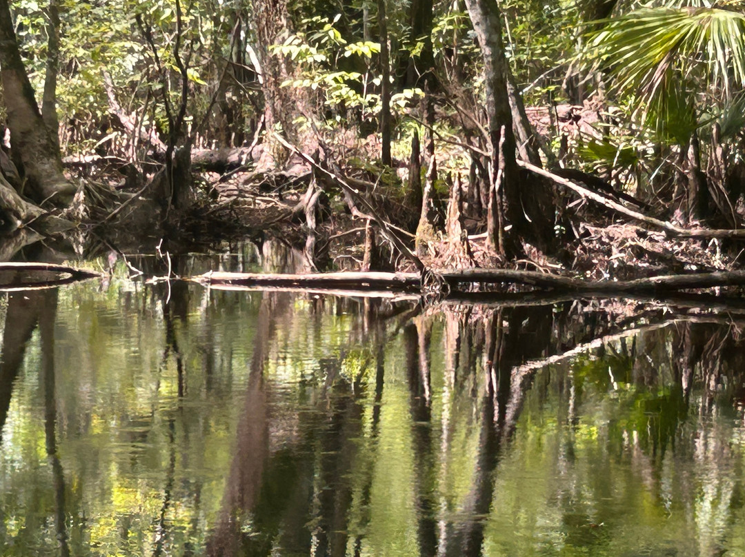 Swamp Fever Airboat Adventures-Lake Panasoffkee必去景点