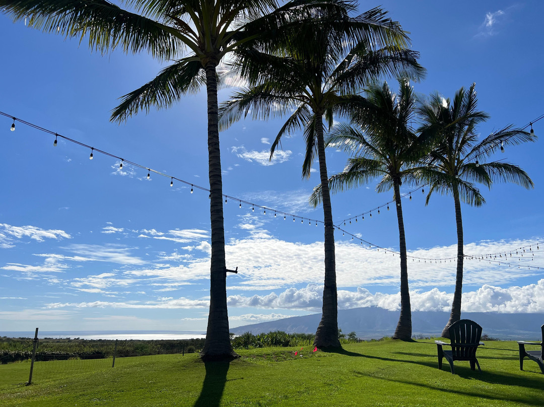 Ocean Vodka Organic Farm and Distillery-库拉必去景点