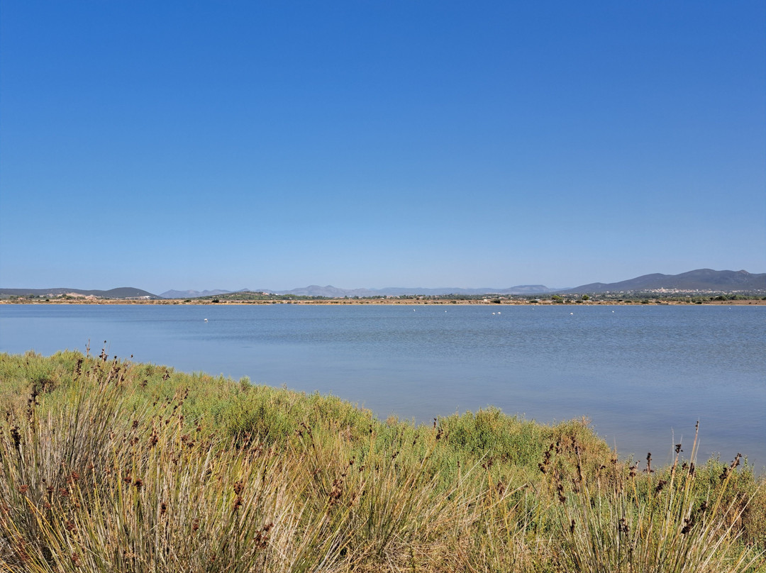 Spiaggia Porto Pino-Sant'Anna Arresi必去景点