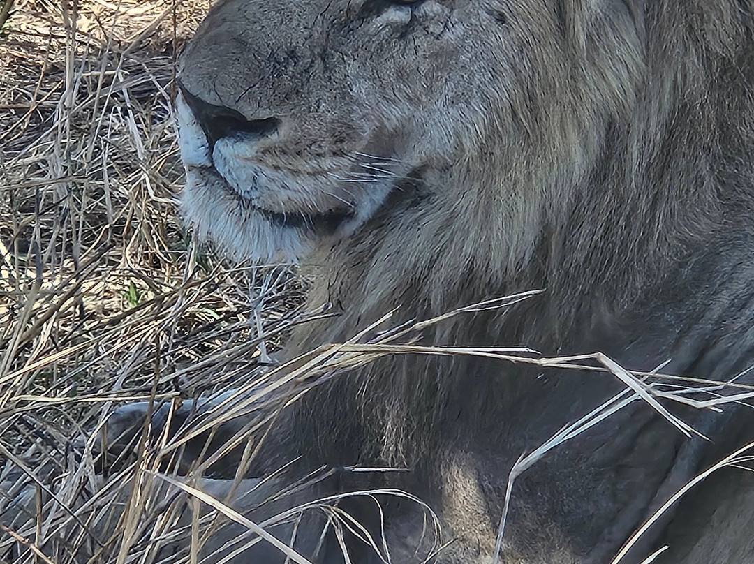 BADGER ADVENTURES TOURS & SAFARI-Arusha Chini必去景点