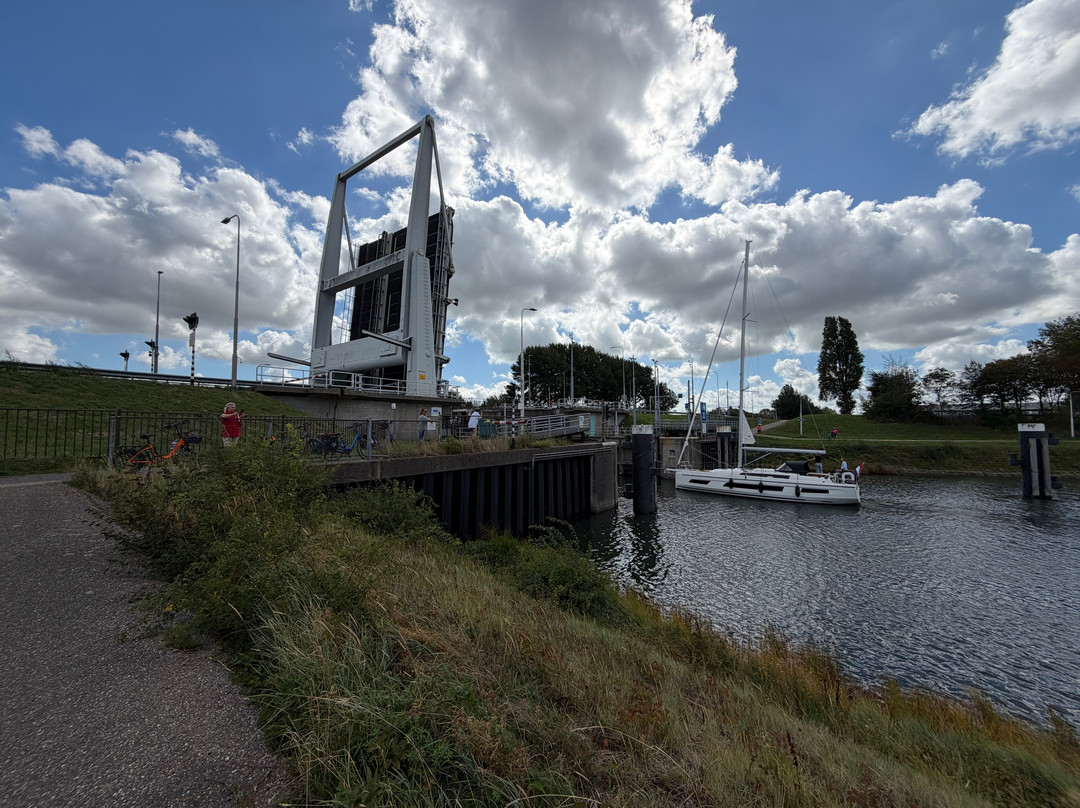 Holland Bike Tours-哈勒姆必去景点