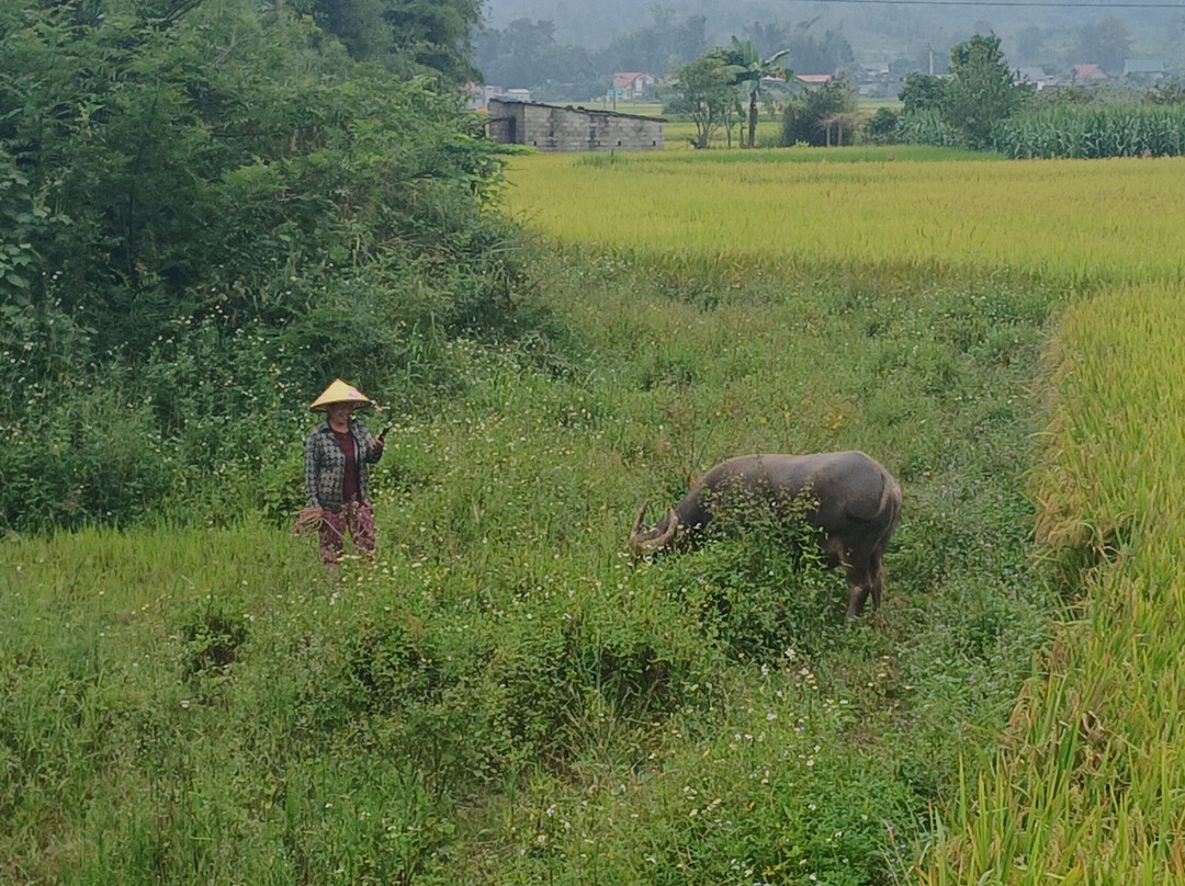 Cao Bang Loop Tour-高平必去景点