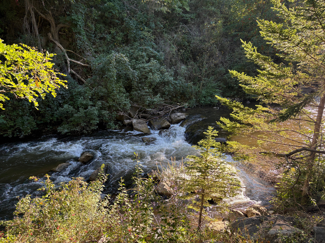 Bear River Valley Recreation Area-皮托斯基必去景点