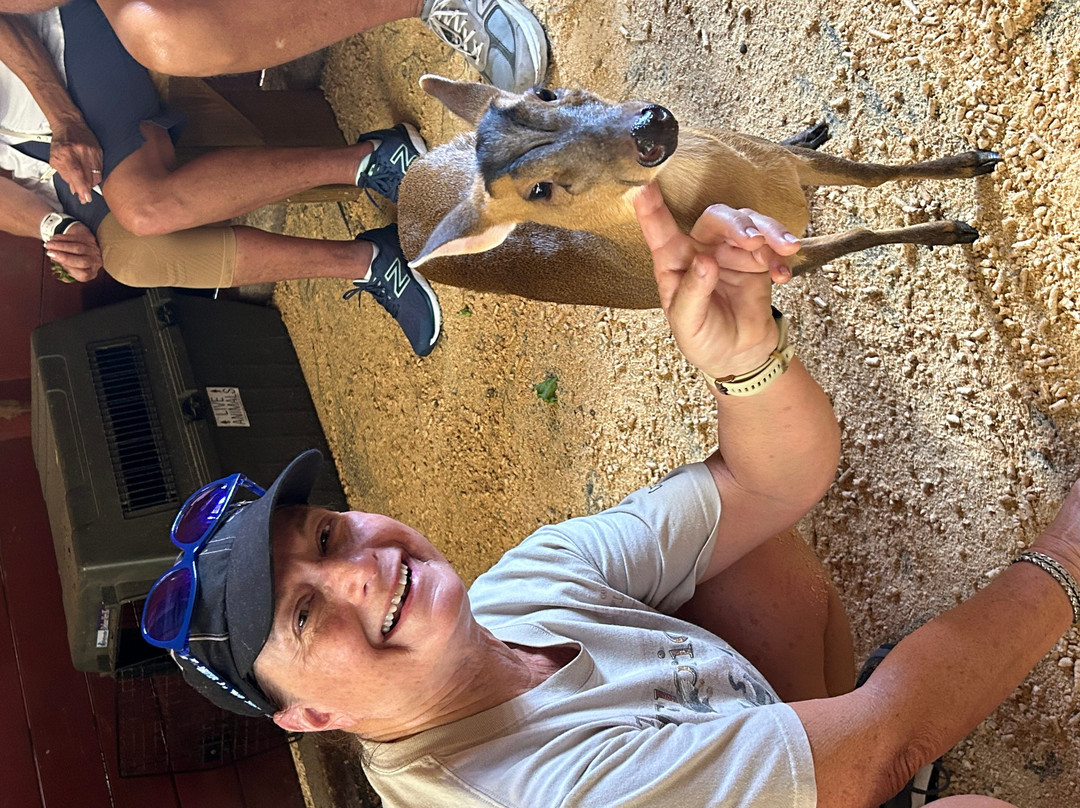 Beautiful Creatures Animal Ranch