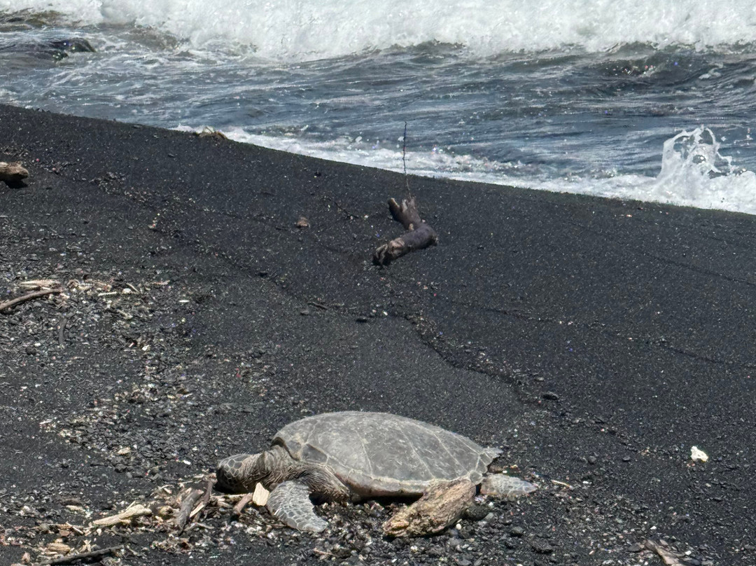 夏威夷火山国家公园-夏威夷火山国家公园必去景点