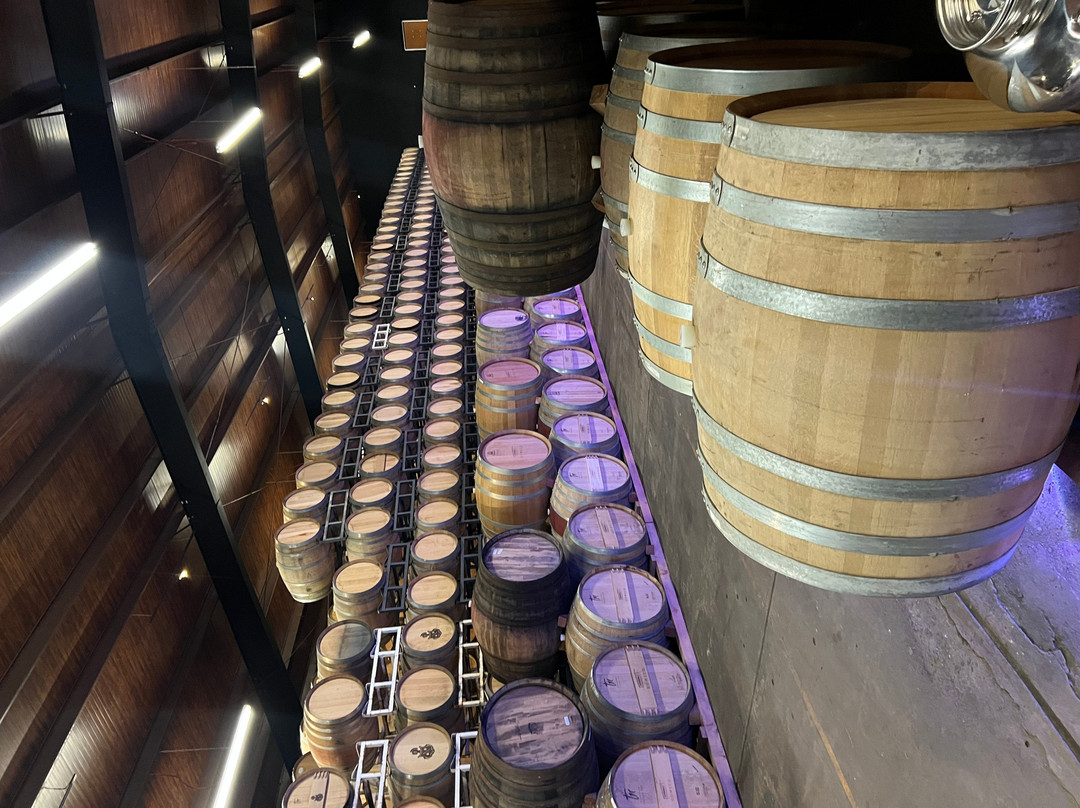 Bodegas Domecq-恩塞纳达必去景点