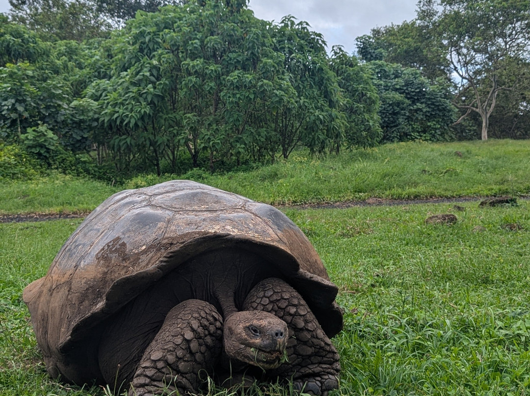 Go Galápagos Tours-Baltra必去景点