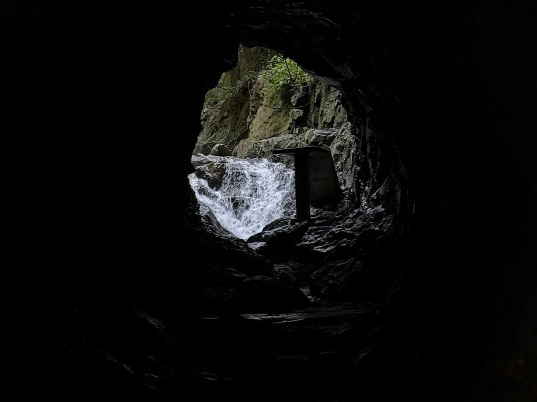 El Chico National Park-Pluma Hidalgo必去景点