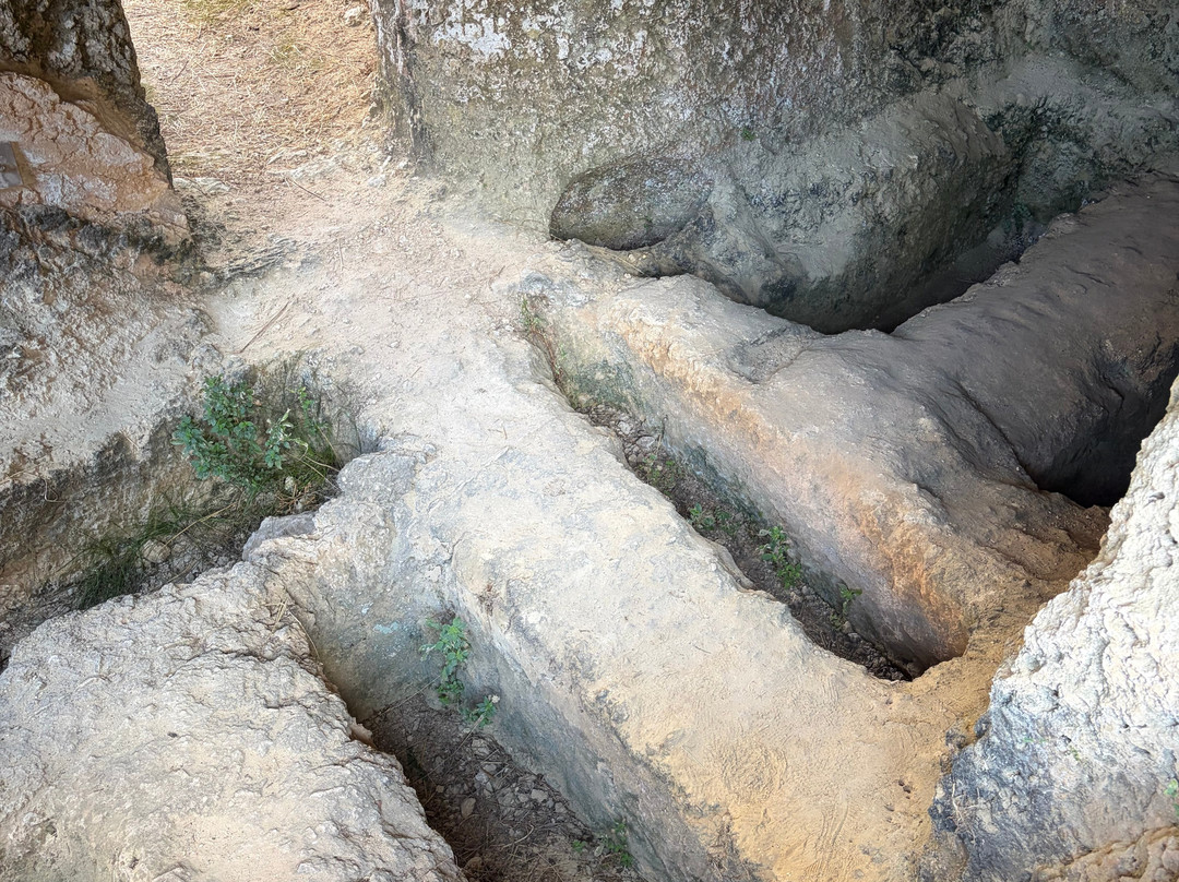 Mazarakata Mycenaean Cemetery-阿尔戈斯托利翁必去景点