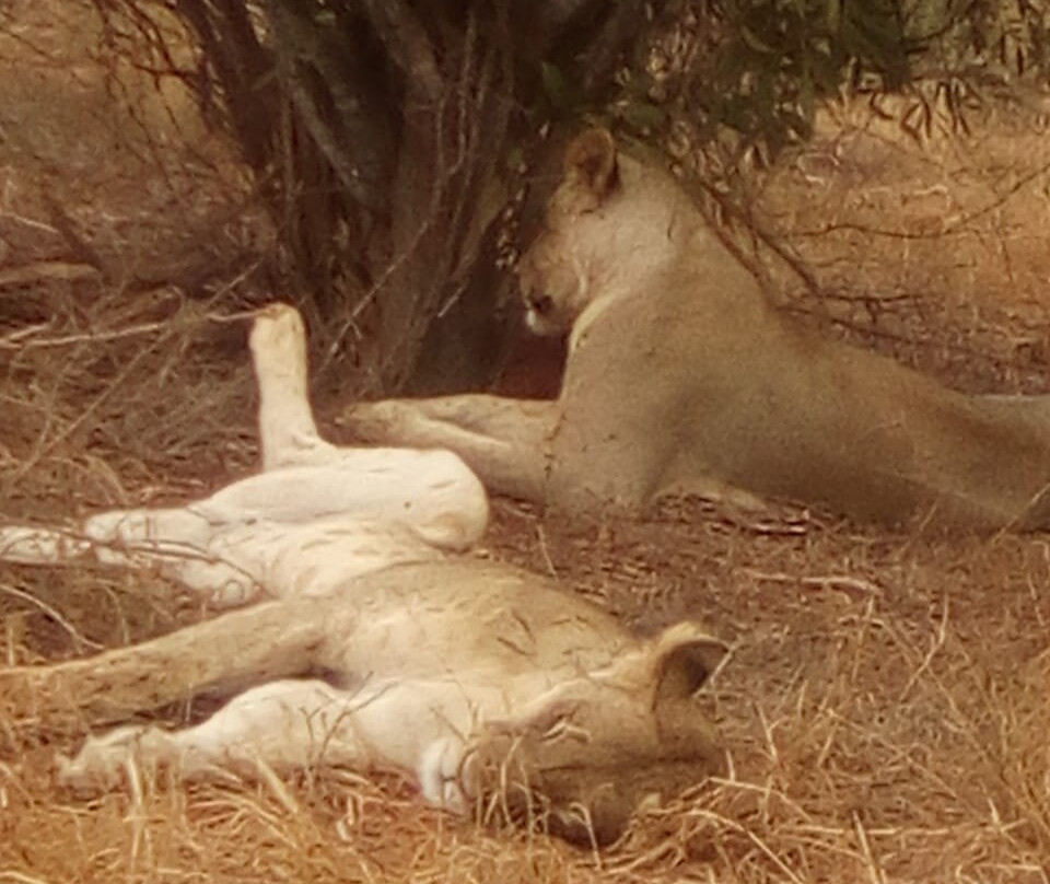 Top Africa Safaris-迪亚尼必去景点