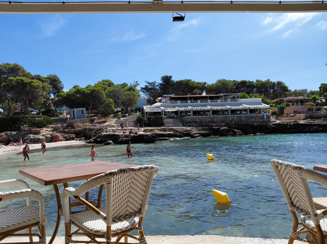 Paralia