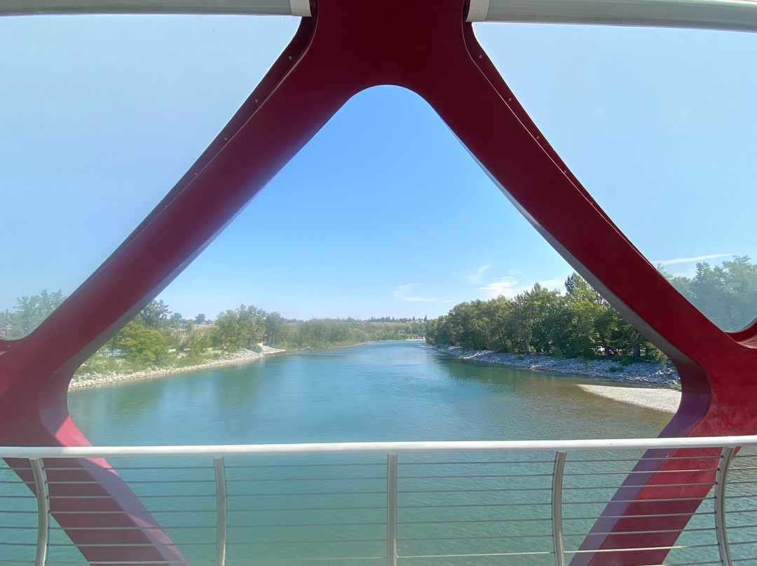 Peace Bridge-卡尔加里必去景点