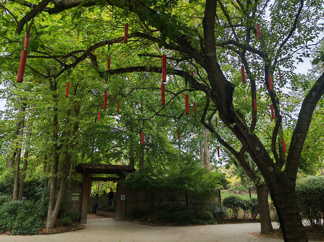 日本花园-图卢兹必去景点