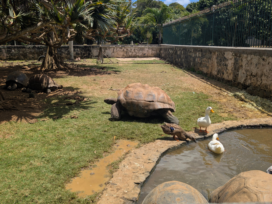 拉波多内城堡-马普必去景点