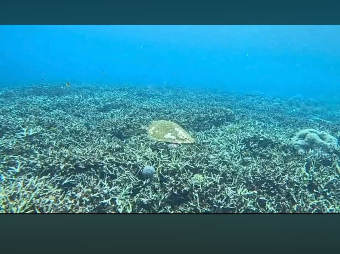 Lembongan Go Trip-克隆孔必去景点