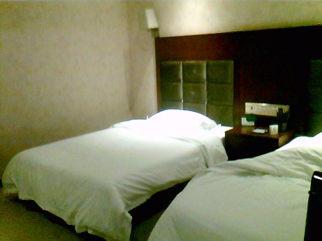 豪田大酒店 -客卧