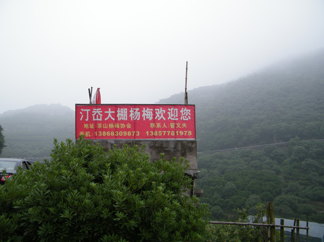 茶山五美景园景点图片