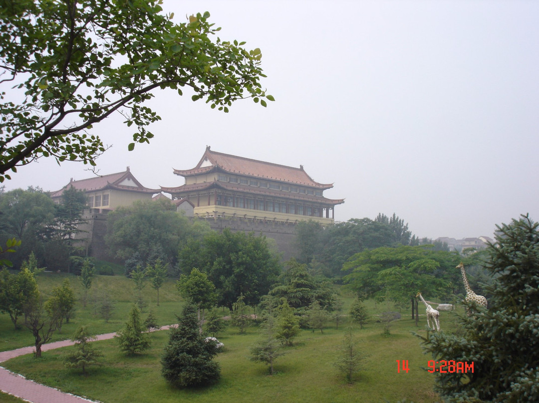 青州博物馆景点图片
