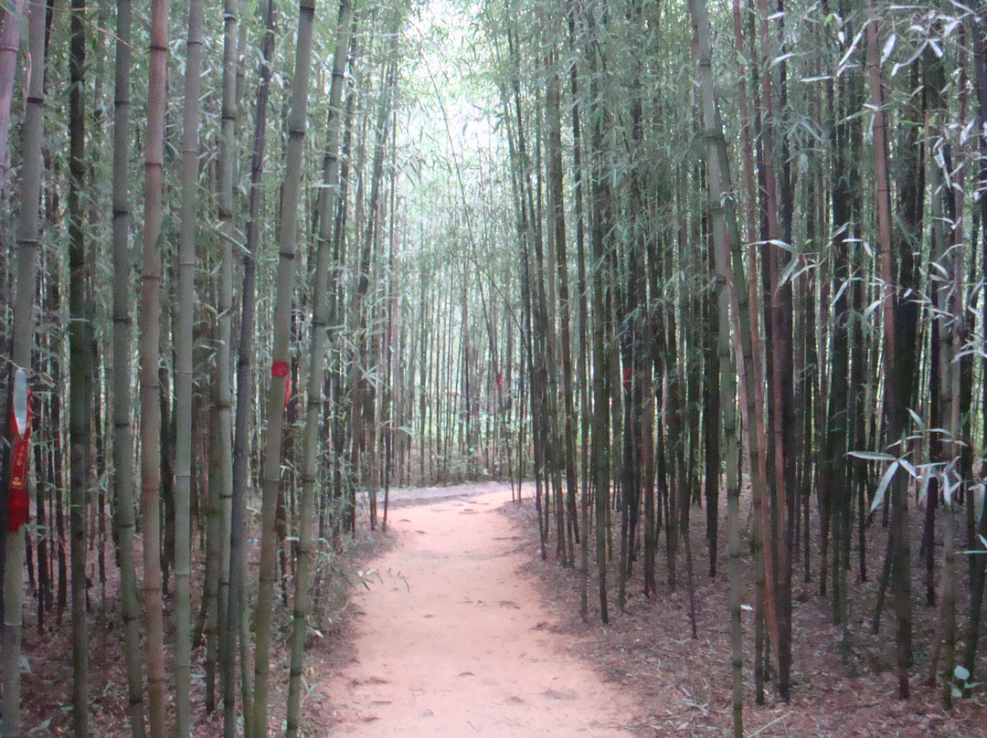 丛麻禅院-海阳市必去景点
