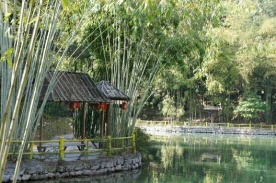 肇庆广宁竹海大观