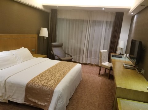 深圳海涛酒店-官方