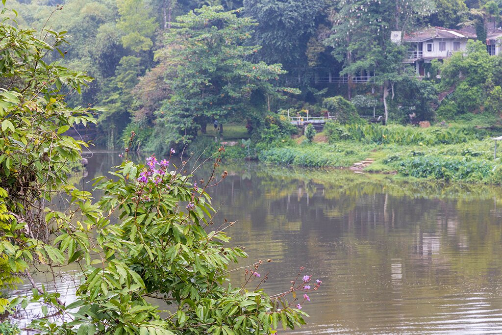 Kelani Bridge-Kitulgala必去景点