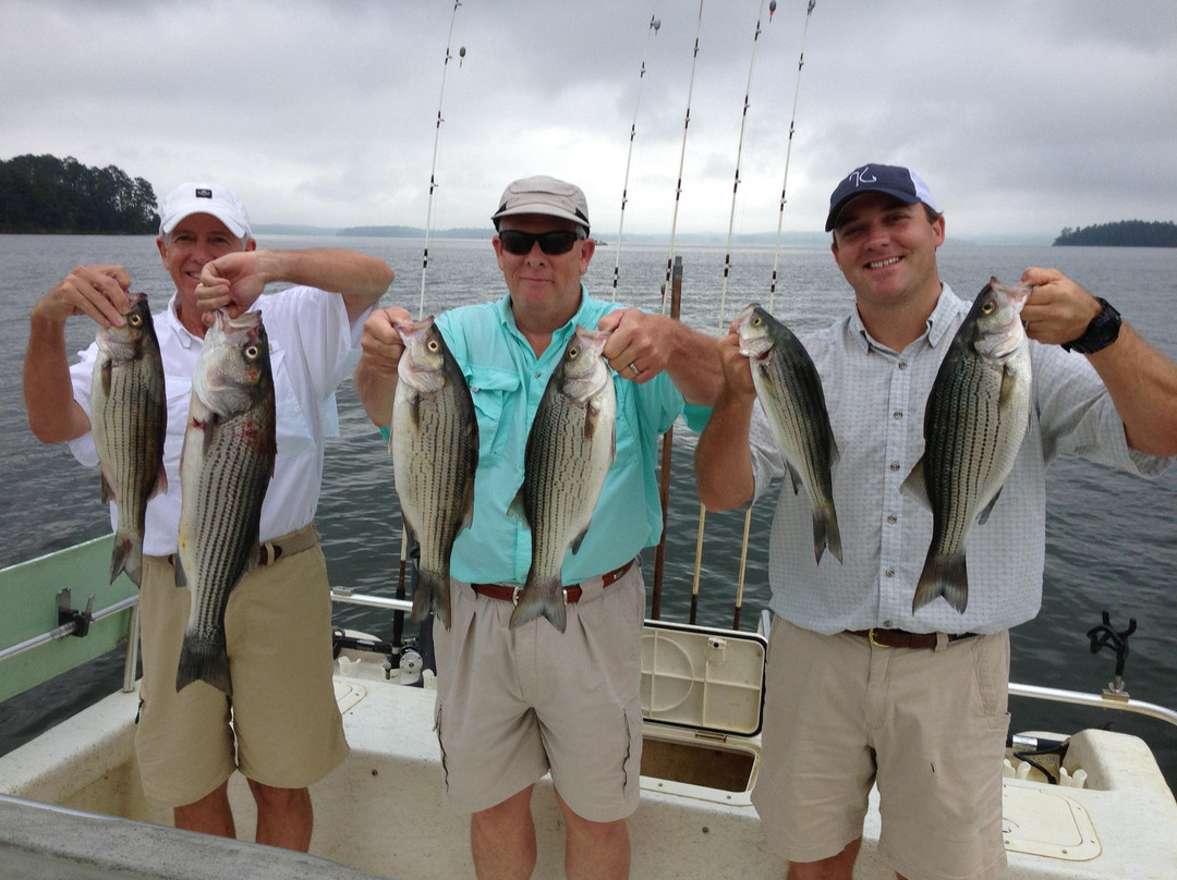 Crockett Rocket Striper Fishing-Clarks Hill必去景点