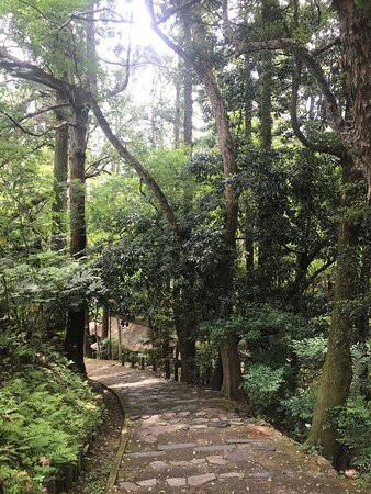 成田公园景点图片