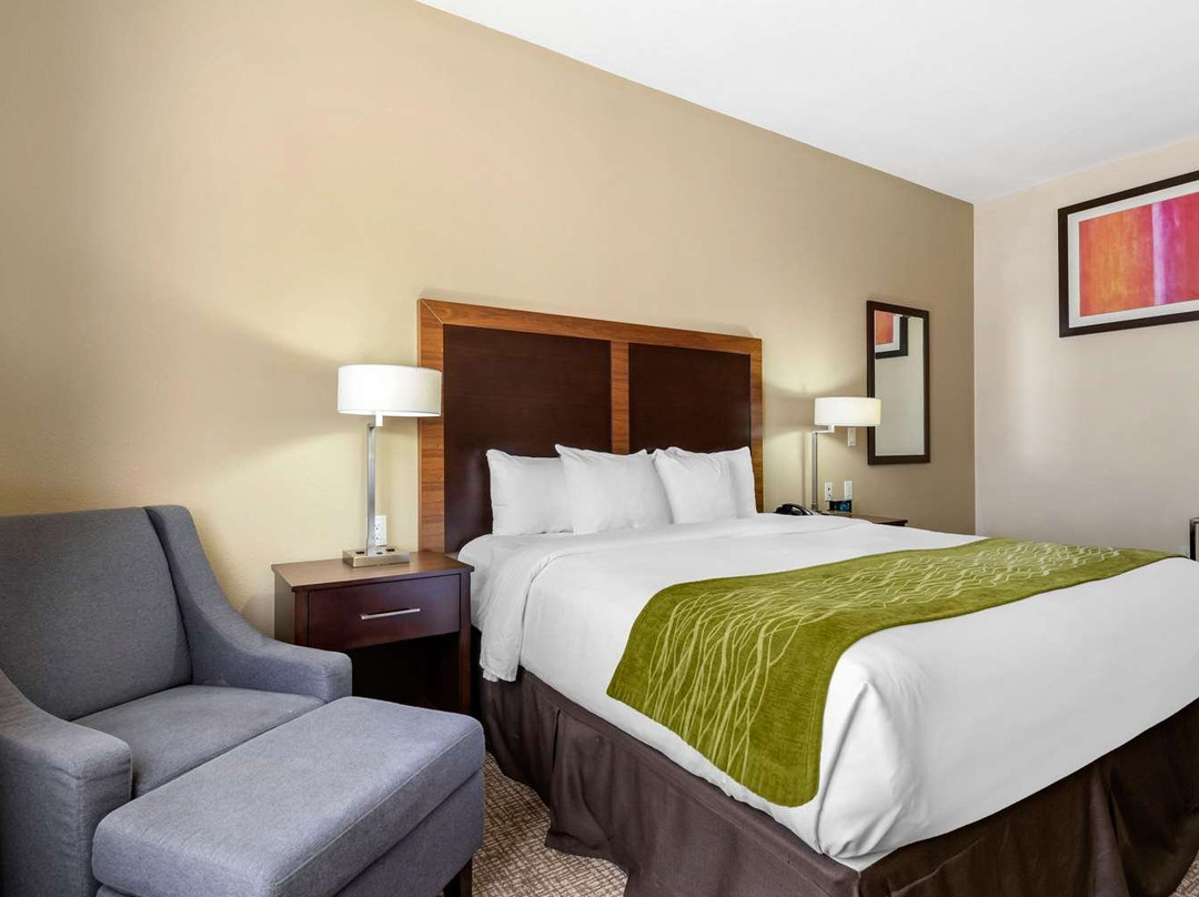 Comfort Inn & Suites Lakeside主图