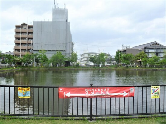 Tainoshoike Park景点图片