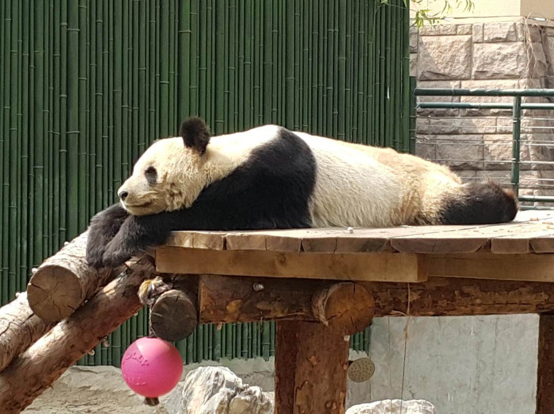 北京濒危动物中心-北京市必去景点