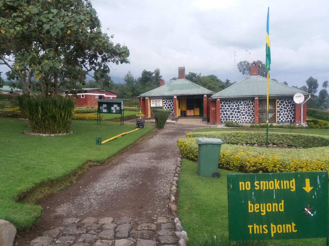 Gorilla Trek Africa-吉佳利必去景点