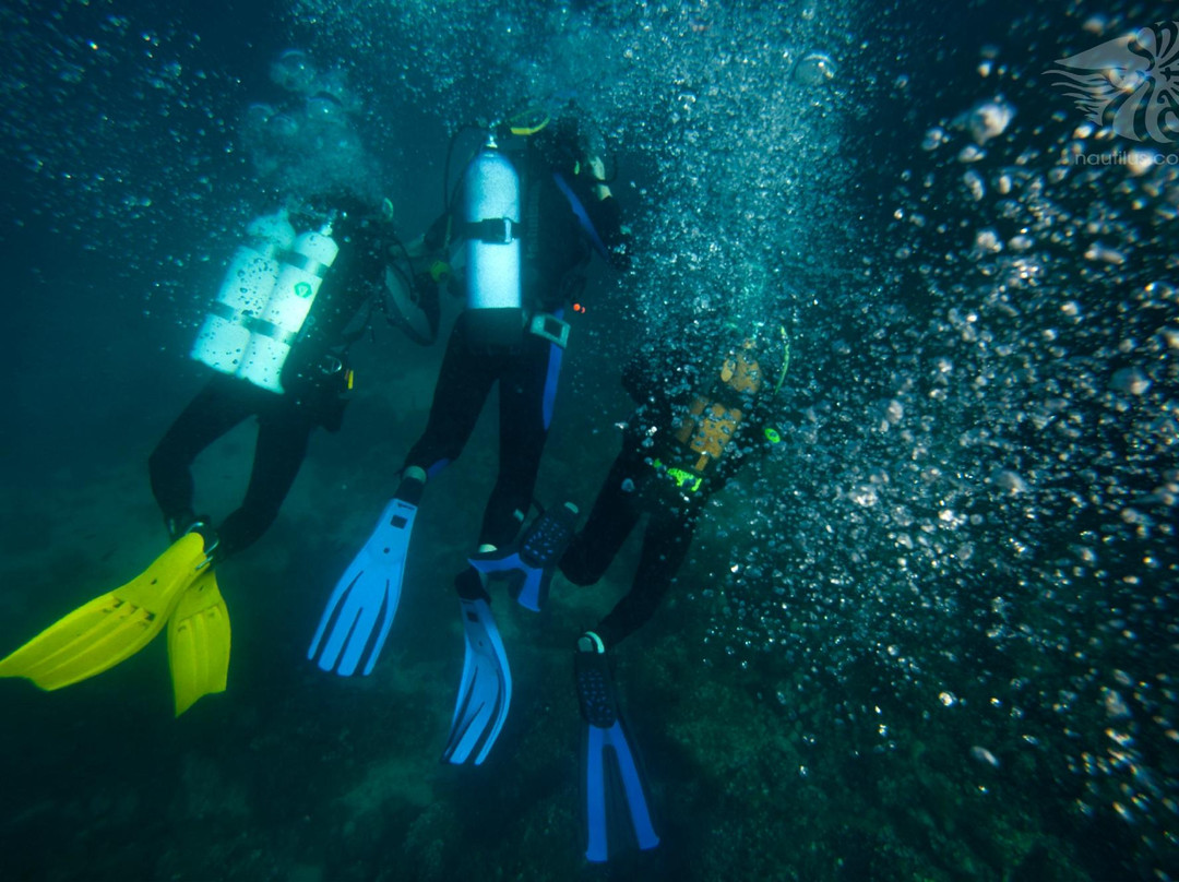 Nautilus Diving Center景点图片