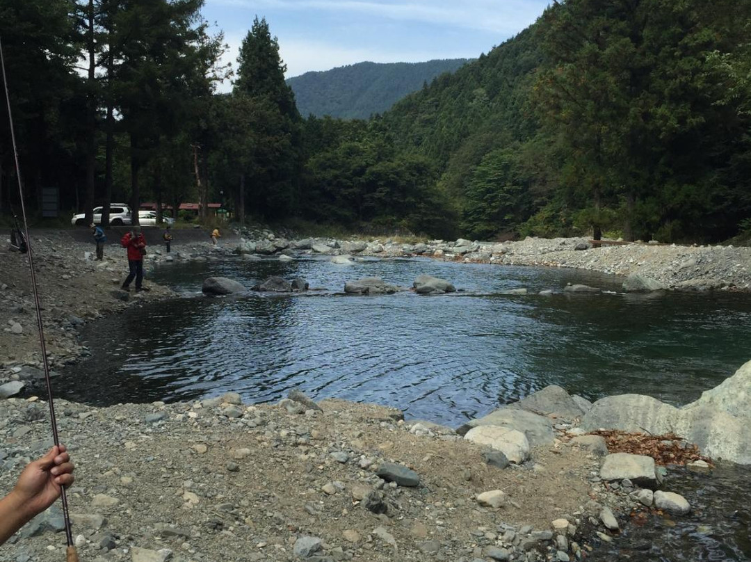 Berry Park Fish On Shishidome景点图片