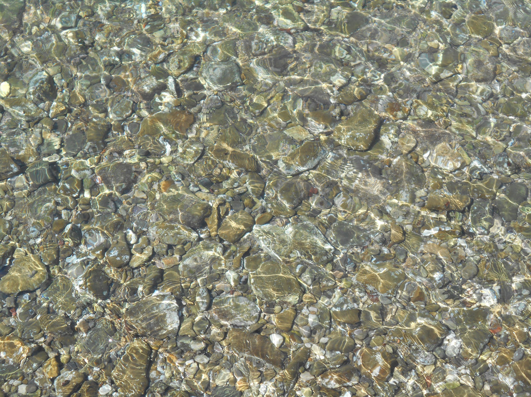 Strunjan Beach