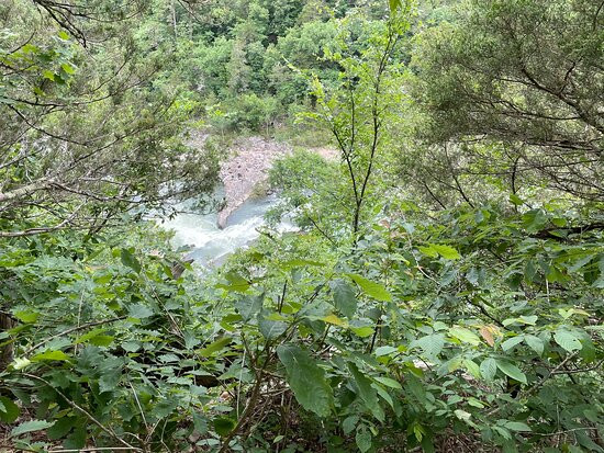 Cossatot River State Park景点图片