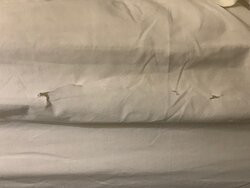 Comfort Suites Nacogdoches主图