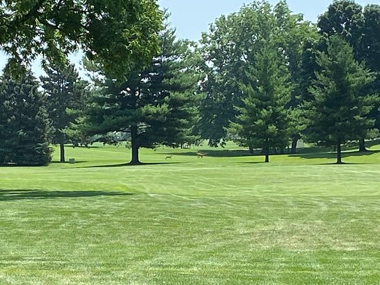 Pines Golf Course Wyoming Michigan景点图片