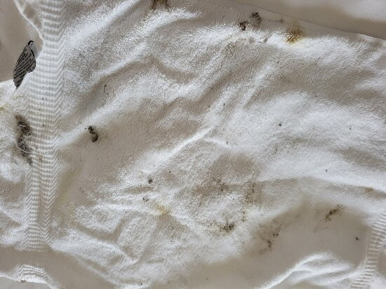 Comfort Suites Miamisburg - Dayton South主图