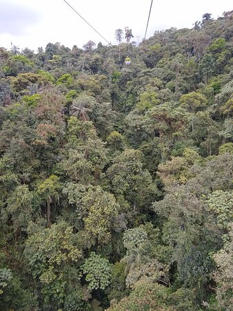 Minjoy Park-明多必去景点