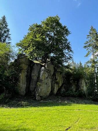 SeWaTo Erlebnisstouren Schwarzwald-Blumberg必去景点