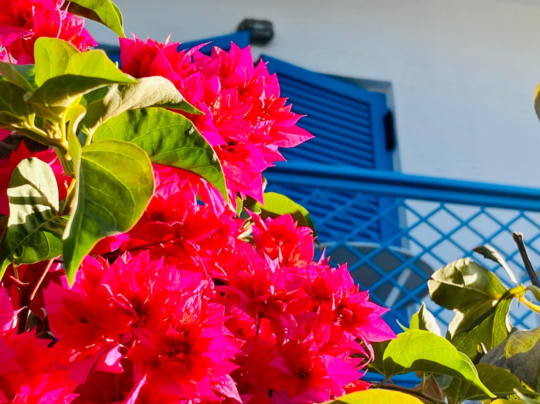Aelia Rooms & Apartments