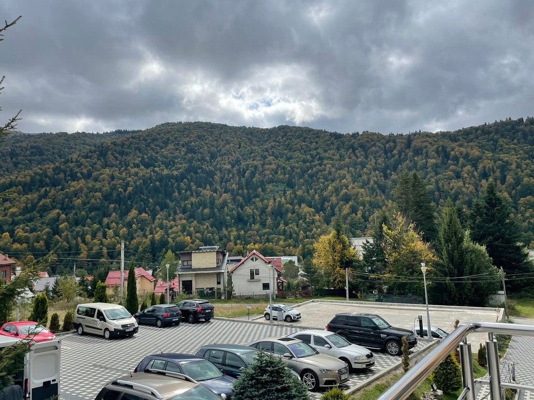 Hotel Carpat Inn