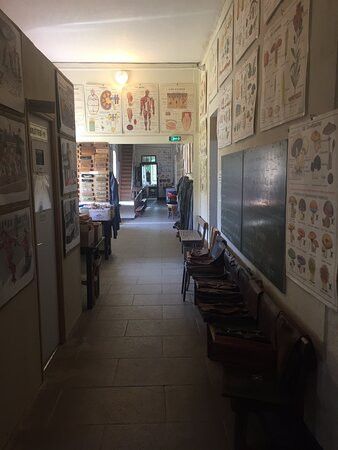 Musée de l'Ecole景点图片