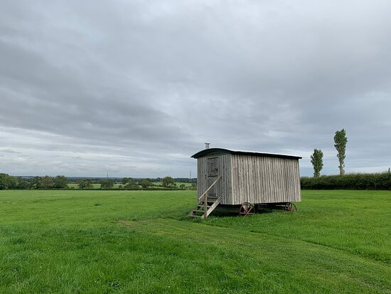 Barnacre Alpacas景点图片