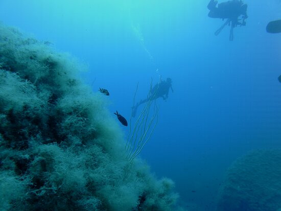 SubAquaDive Service-维拉西谬斯必去景点