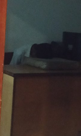 Ananth Residency主图