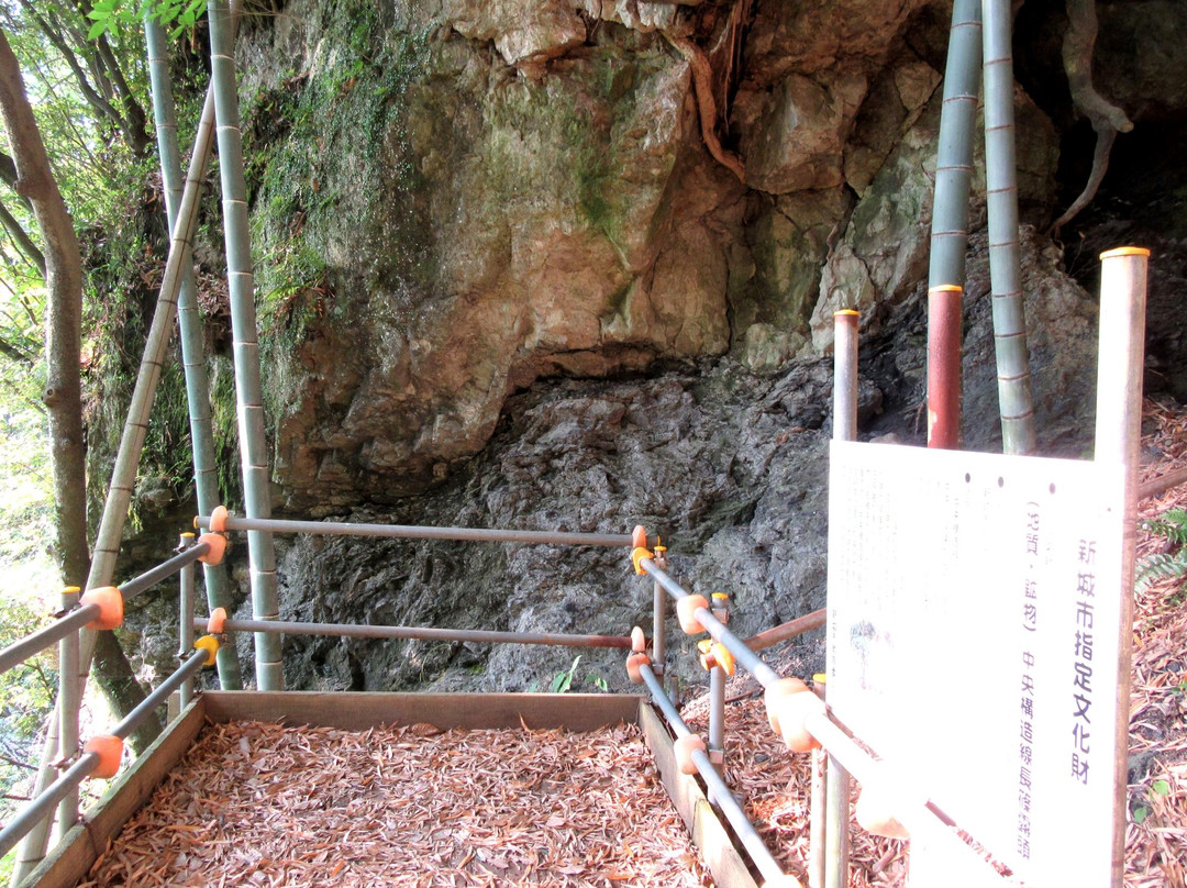 Median Tectonic Line Nagashino Roto景点图片